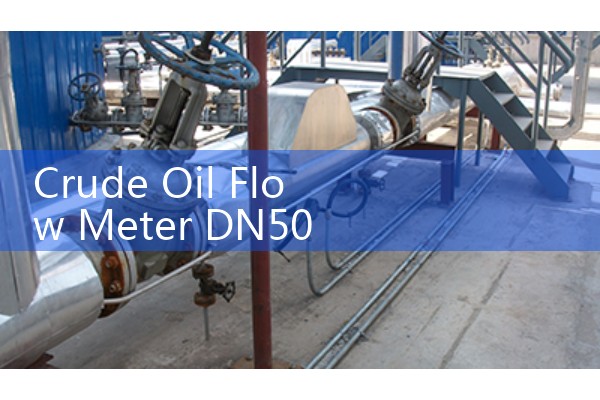 Crude Oil Flow Meter DN50 Test Separator Measurement Layouts